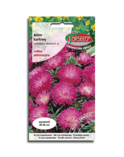 Nasiona -	Aster Karłowy – Różowo - fioletowy 0,5g Callistephus Karłowy - Torseed