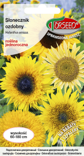 Nasiona -	Słonecznik Kwiatowy 2g Mieszanka Odmian I Kolorów	- Torseed