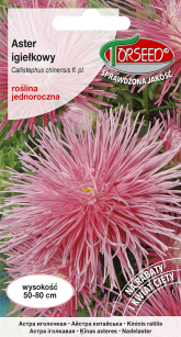 Nasiona -	Aster Igiełkowy Czerwono-Łososiowy 0,5g Callistephus - Torseed