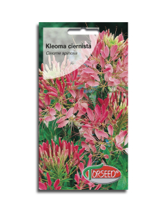 Nasiona -	Kleoma Ciernista - Różowe 1g - Torseed