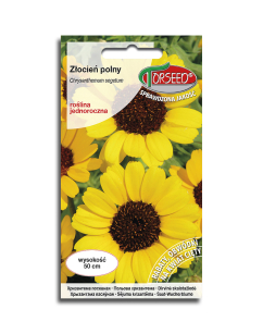 Nasiona -	Złocień Polny -Żółte Z Czar. Śr. 2g Chrysanthemum - Torseed