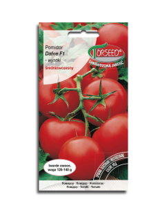 Nasiona -	Pomidor Szkl.Dafne F1 0,1g Mieszaniec F1 - Torseed