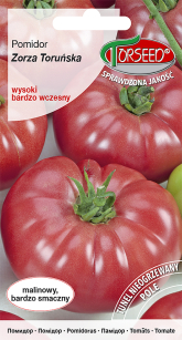 Nasiona -	Pomidor Zorza Toruńska 0,5g Wysoki - Torseed